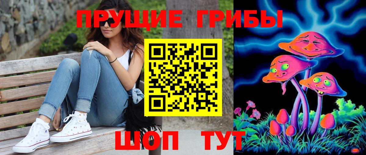 Псилоцибиновые грибы Psilocybine cubensis Батайск