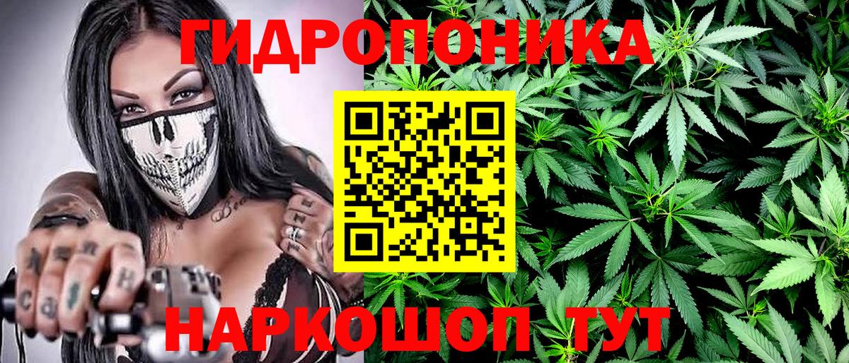 Батайск  Шишки марихуана Bruce Banner  Вход с VPN  Конопля Bruce Banner 